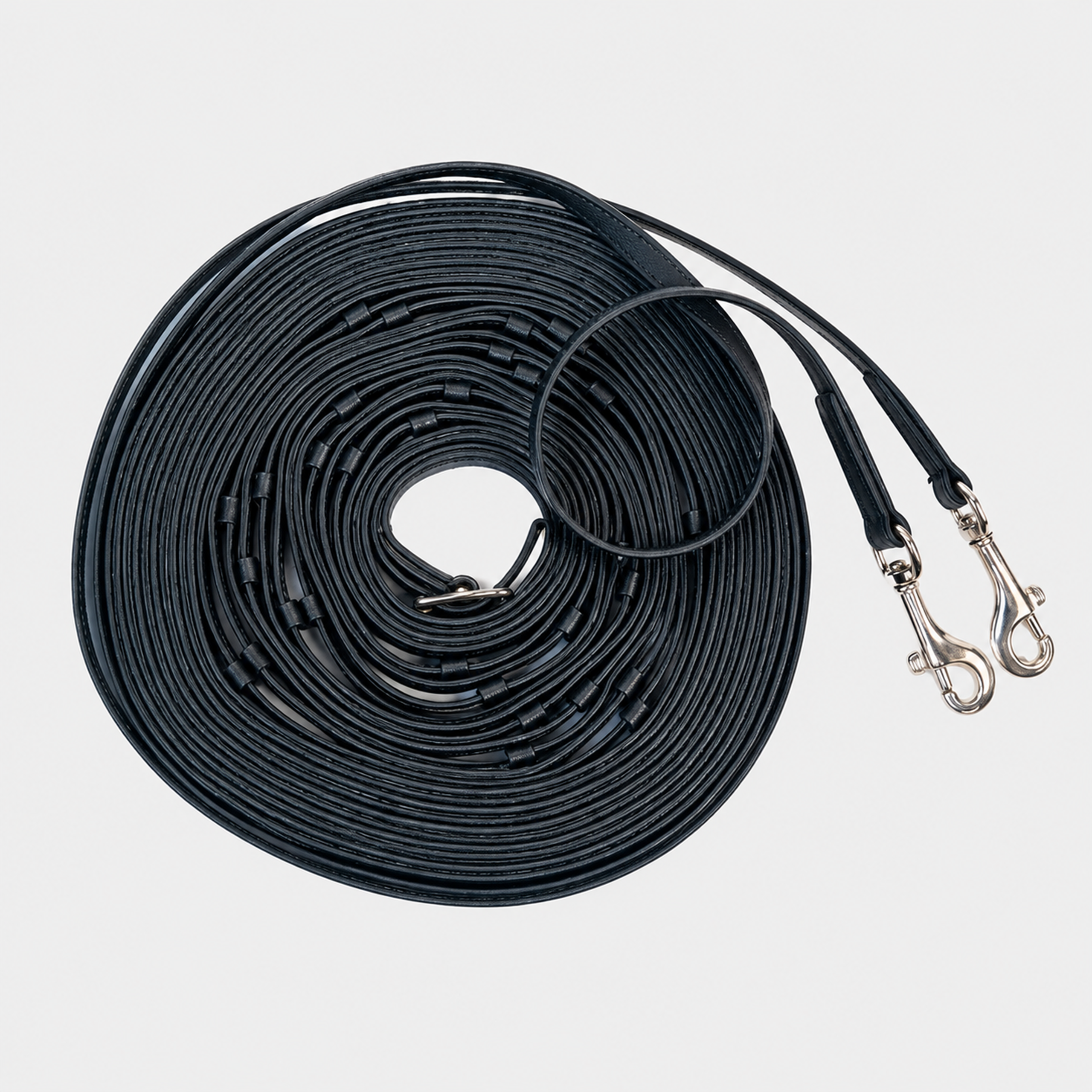 Reins